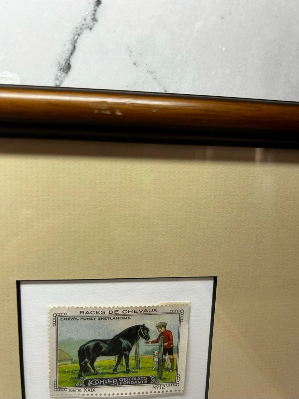 N/A framed horse